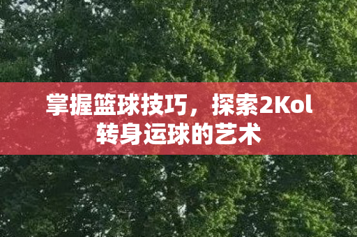 探索2Kol转身运球的艺术图片