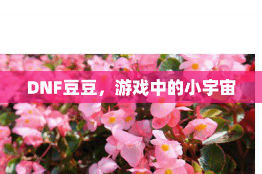 游戏中的小宇宙图片