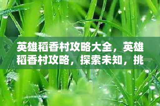 英雄稻香村攻略大全,英雄稻香村攻略,探索未知,挑战极限 英雄稻香村攻略大全,英雄稻香村攻略,探索未知,挑战极限