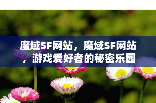 魔域SF网站，魔域SF网站，游戏爱好者的秘密乐园