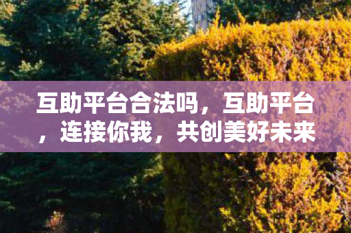 互助平台合法吗,互助平台,连接你我,共创美好未来 互助平台合法吗,互助平台,连接你我,共创美好未来