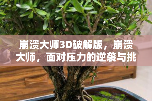 崩溃大师3D破解版,崩溃大师,面对压力的逆袭与挑战 崩溃大师3D破解版,崩溃大师,面对压力的逆袭与挑战
