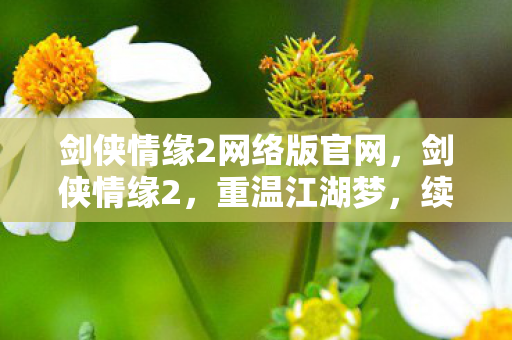 剑侠情缘2网络版官网，剑侠情缘2，重温江湖梦，续写传世篇章