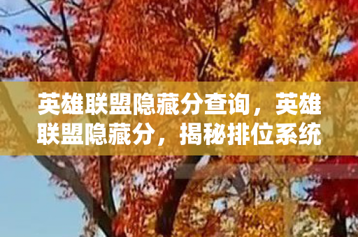 英雄联盟隐藏分查询,英雄联盟隐藏分,揭秘排位系统背后的秘密 英雄联盟隐藏分查询,英雄联盟隐藏分,揭秘排位系统背后的秘密