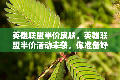 英雄联盟半价皮肤,英雄联盟半价活动来袭,你准备好了吗? 英雄联盟半价皮肤,英雄联盟半价活动来袭,你准备好了吗?