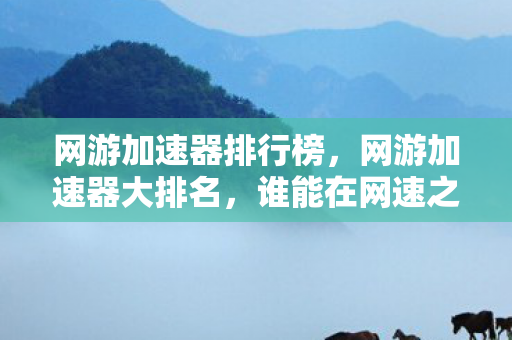 网游加速器排行榜,网游加速器大排名,谁能在网速之战中脱颖而出? 网游加速器排行榜,网游加速器大排名,谁能在网速之战中脱颖而出?