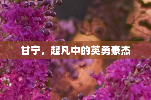 起凡中的英勇豪杰图片