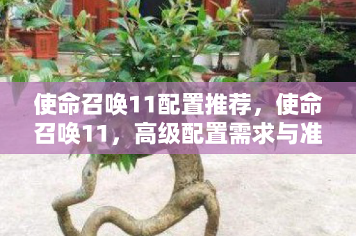 使命召唤11配置推荐图片