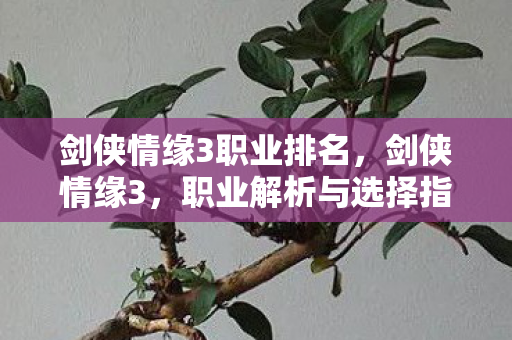 剑侠情缘3职业排名图片