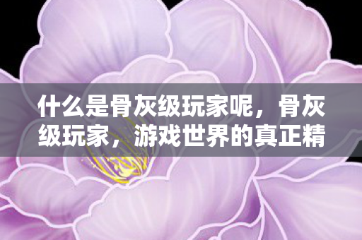 什么是骨灰级玩家呢图片