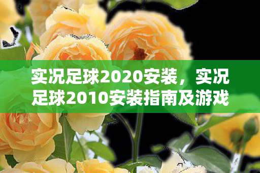 实况足球2010安装指南及游戏体验分享图片