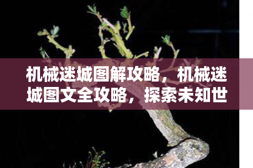 机械迷城图解攻略,机械迷城图文全攻略,探索未知世界的终极指南 机械迷城图解攻略,机械迷城图文全攻略,探索未知世界的终极指南