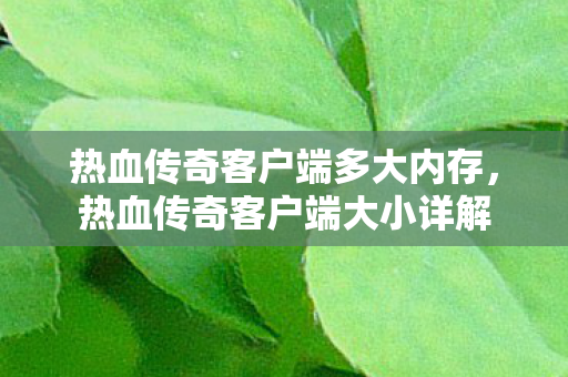 热血传奇客户端多大内存,热血传奇客户端大小详解 热血传奇客户端多大内存,热血传奇客户端大小详解