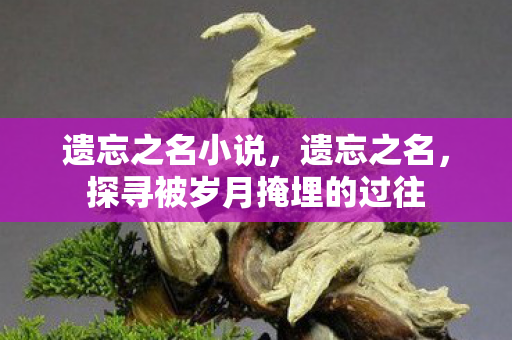 遗忘之名小说,遗忘之名,探寻被岁月掩埋的过往 遗忘之名小说,遗忘之名,探寻被岁月掩埋的过往