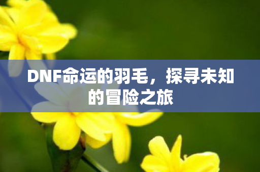 探寻未知的冒险之旅图片