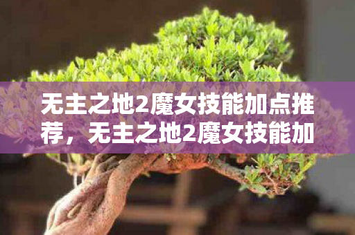 无主之地2魔女技能加点推荐,无主之地2魔女技能加点攻略,掌握核心技能,轻松成为顶尖玩家 无主之地2魔女技能加点推荐,无主之地2魔女技能加点攻略,掌握核心技能,轻松成为顶尖玩家
