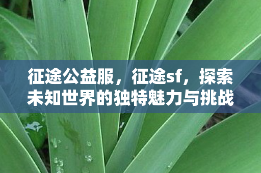 探索未知世界的独特魅力与挑战图片