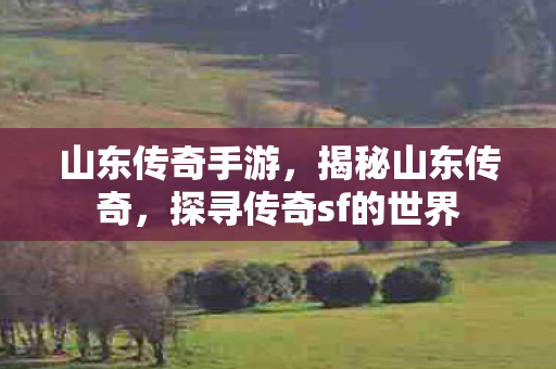 探寻传奇sf的世界图片