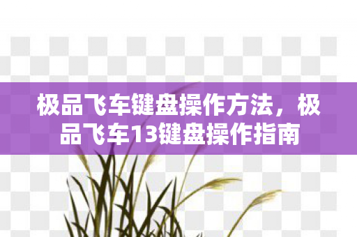 极品飞车13键盘操作指南图片