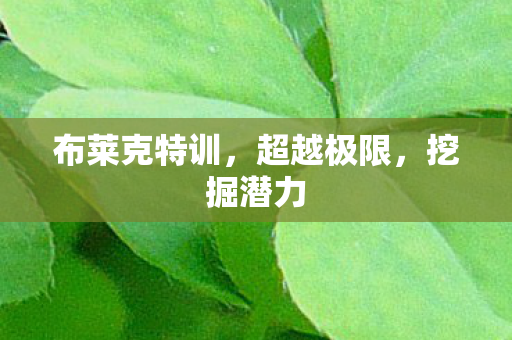 布莱克特训图片