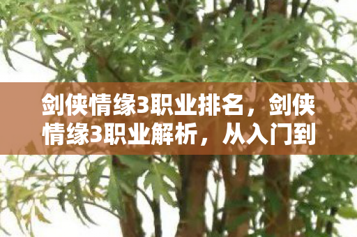 从入门到精通的选择之道图片