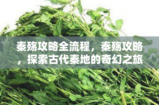 秦殇攻略全流程,秦殇攻略,探索古代秦地的奇幻之旅 秦殇攻略全流程,秦殇攻略,探索古代秦地的奇幻之旅