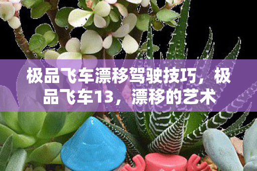 极品飞车漂移驾驶技巧,极品飞车13,漂移的艺术 极品飞车漂移驾驶技巧,极品飞车13,漂移的艺术