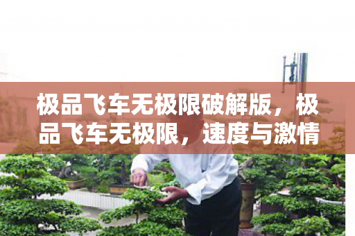 极品飞车无极限破解版,极品飞车无极限,速度与激情的完美融合 极品飞车无极限破解版,极品飞车无极限,速度与激情的完美融合