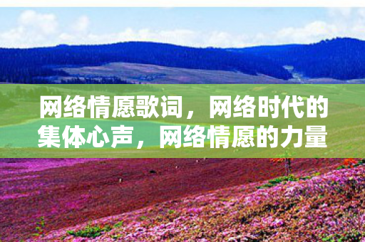 网络情愿歌词,网络时代的集体心声,网络情愿的力量与影响 网络情愿歌词,网络时代的集体心声,网络情愿的力量与影响