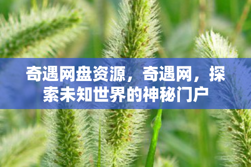 探索未知世界的神秘门户图片