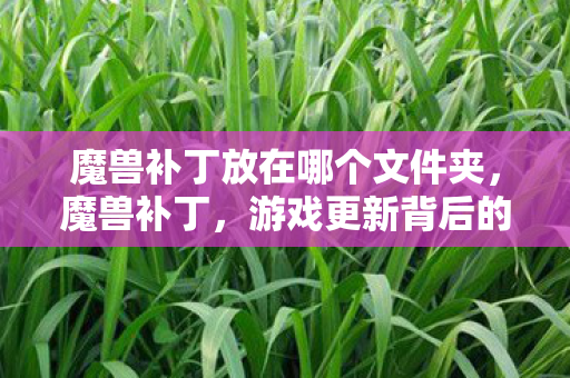 魔兽补丁放在哪个文件夹图片