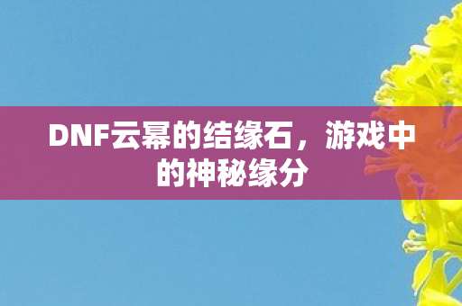 DNF云幂的结缘石图片