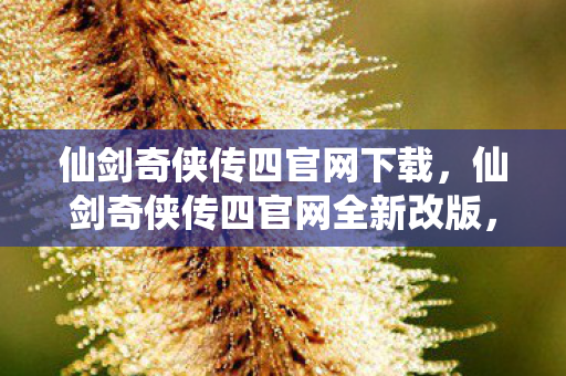 仙剑奇侠传四官网下载,仙剑奇侠传四官网全新改版,探索神秘仙侠世界 仙剑奇侠传四官网下载,仙剑奇侠传四官网全新改版,探索神秘仙侠世界