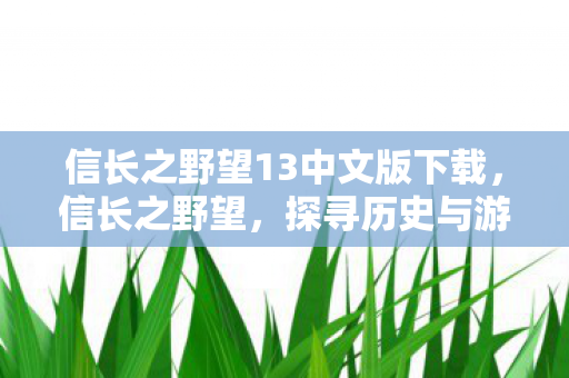 信长之野望13中文版下载,信长之野望,探寻历史与游戏的交融之美 信长之野望13中文版下载,信长之野望,探寻历史与游戏的交融之美