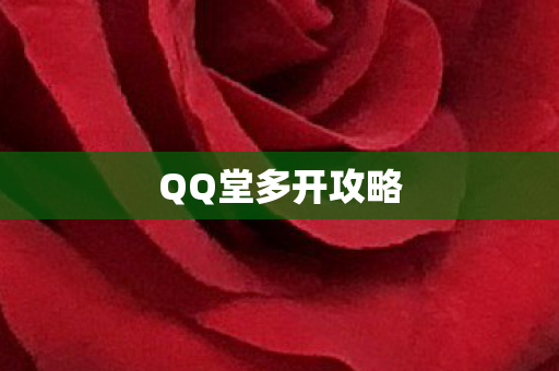 QQ堂多开攻略图片