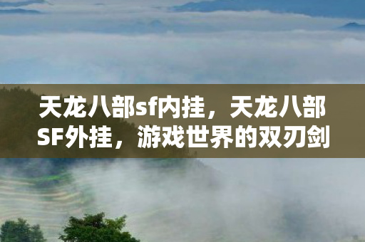 天龙八部sf内挂，天龙八部SF外挂，游戏世界的双刃剑