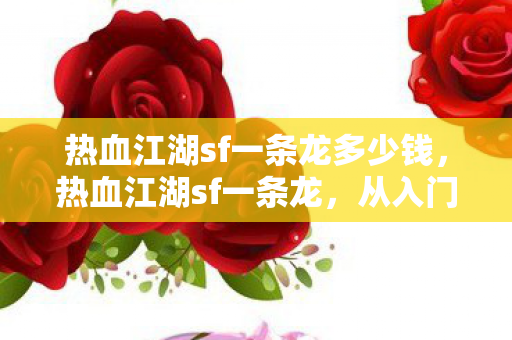 热血江湖sf一条龙多少钱，热血江湖sf一条龙，从入门到精通的全方位解析