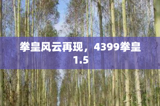 4399拳皇1图片