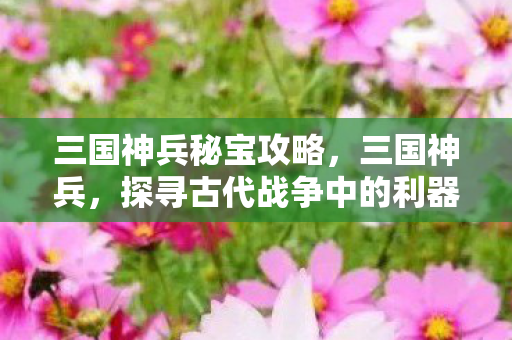 三国神兵秘宝攻略，三国神兵，探寻古代战争中的利器与传奇