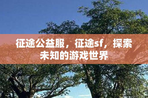 征途公益服，征途sf，探索未知的游戏世界