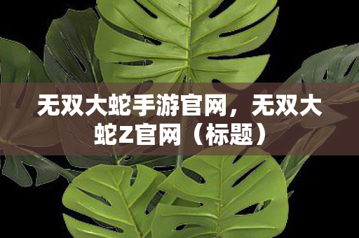 无双大蛇手游官网，无双大蛇Z官网（标题）