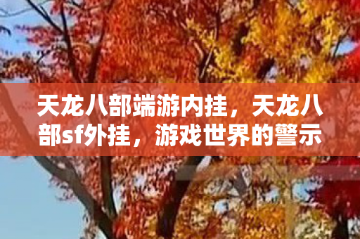 天龙八部端游内挂，天龙八部sf外挂，游戏世界的警示与反思