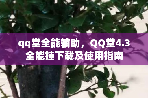 3全能挂下载及使用指南图片