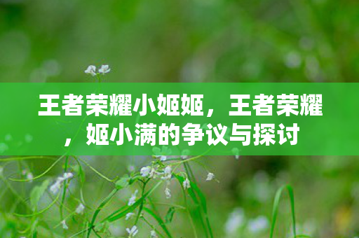 姬小满的争议与探讨图片