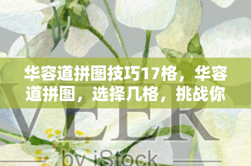 华容道拼图技巧17格图片