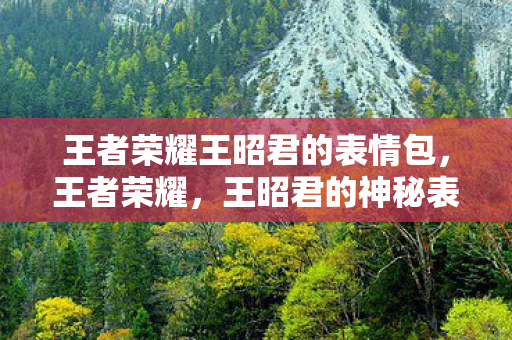 王昭君的神秘表情背后的故事图片