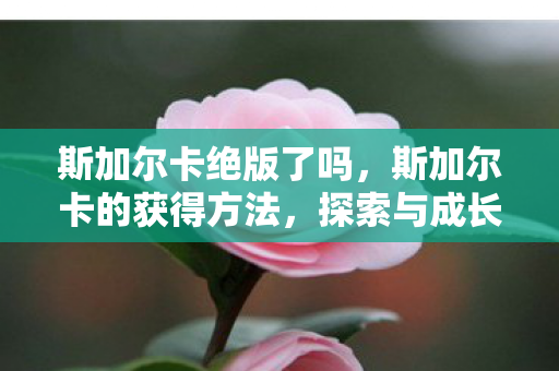 斯加尔卡的获得方法图片