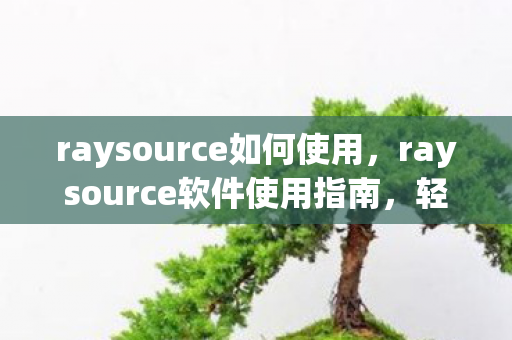 raysource软件使用指南图片