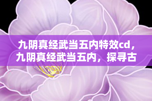 九阴真经武当五内特效cd图片