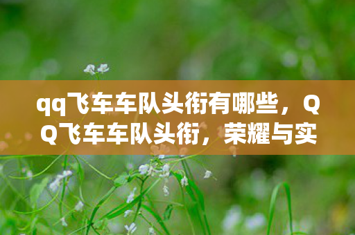 qq飞车车队头衔有哪些图片